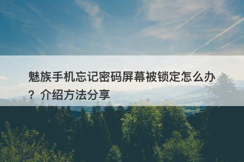 魅族手机忘记密码屏幕被锁定怎么办？介绍方法分享
