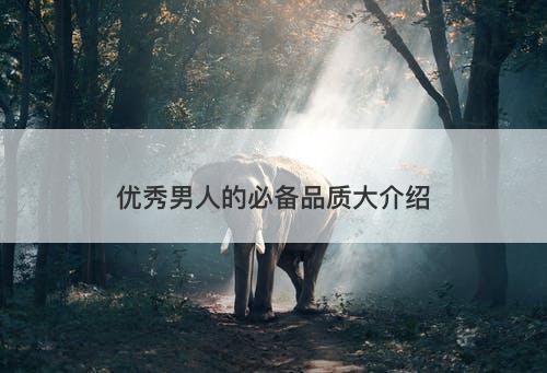 优秀男人的必备品质大介绍
