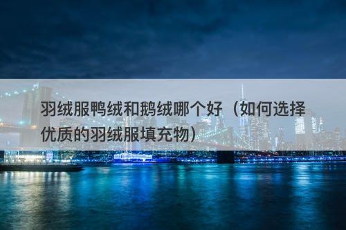 羽绒服鸭绒和鹅绒哪个好（如何选择优质的羽绒服填充物）