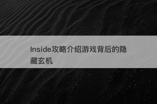 Inside攻略介绍游戏背后的隐藏玄机