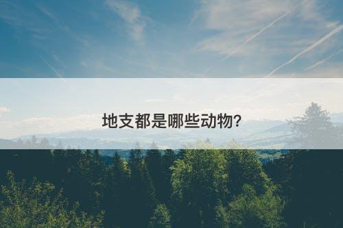 地支都是哪些动物？