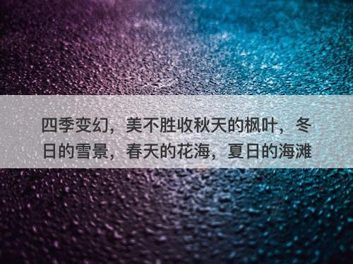四季变幻，美不胜收秋天的枫叶，冬日的雪景，春天的花海，夏日的海滩