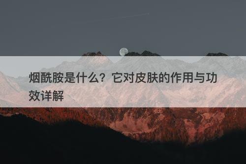 烟酰胺是什么？它对皮肤的作用与功效详解