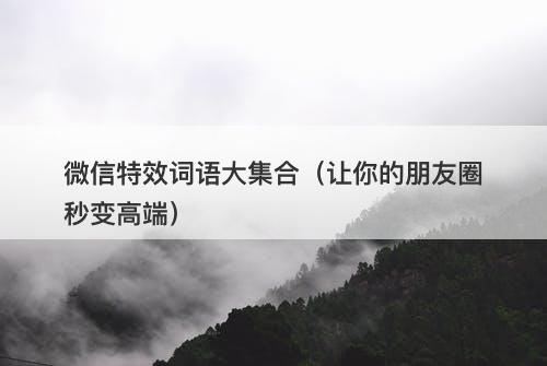 微信特效词语大集合（让你的朋友圈秒变高端）