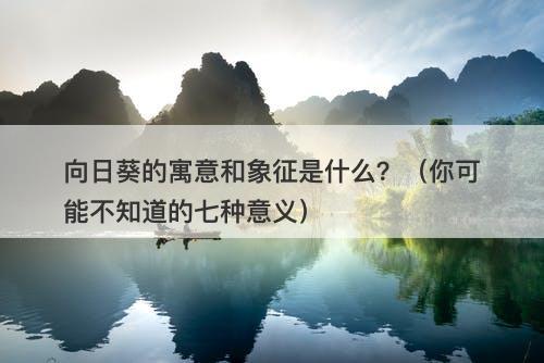 向日葵的寓意和象征是什么？（你可能不知道的七种意义）-图1