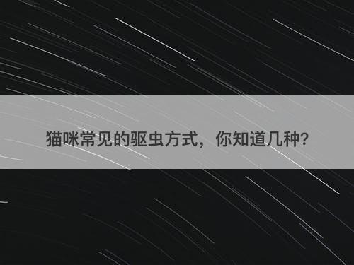 猫咪常见的驱虫方式，你知道几种？-图1