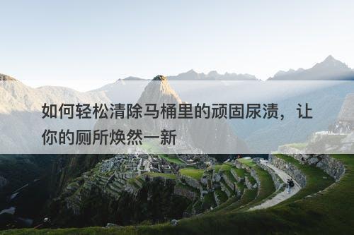 如何轻松清除马桶里的顽固尿渍，让你的厕所焕然一新