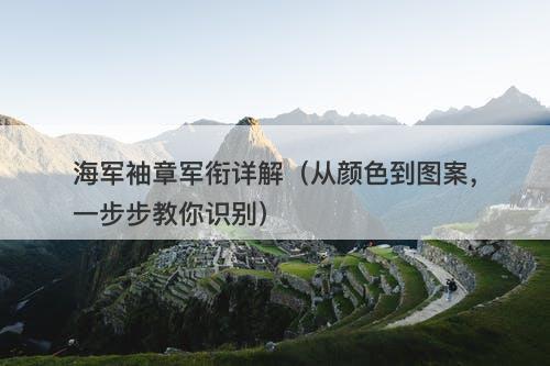 海军袖章军衔详解（从颜色到图案，一步步教你识别）-图1