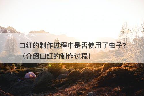 口红的制作过程中是否使用了虫子？（介绍口红的制作过程）-图1