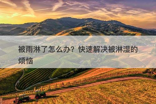 被雨淋了怎么办？快速解决被淋湿的烦恼-图1