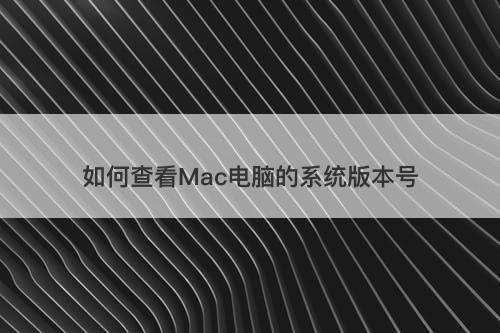 如何查看Mac电脑的系统版本号