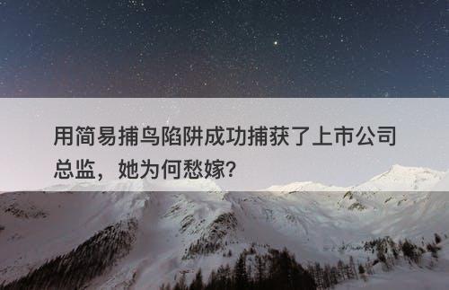 用简易捕鸟陷阱成功捕获了上市公司总监，她为何愁嫁？