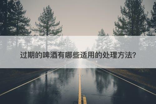 过期的啤酒有哪些适用的处理方法？-图1