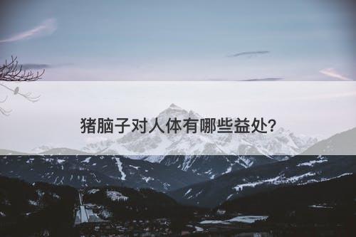 猪脑子对人体有哪些益处？