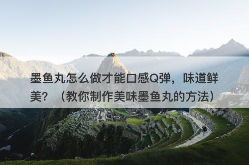 墨鱼丸怎么做才能口感Q弹，味道鲜美？（教你制作美味墨鱼丸的方法）