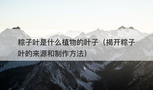 粽子叶是什么植物的叶子（揭开粽子叶的来源和制作方法）