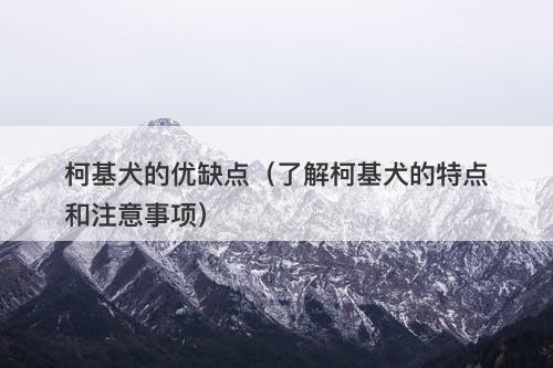 柯基犬的优缺点（了解柯基犬的特点和注意事项）