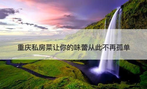 重庆私房菜让你的味蕾从此不再孤单
