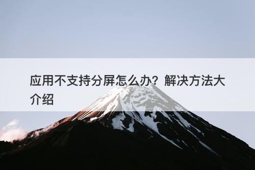 应用不支持分屏怎么办？解决方法大介绍