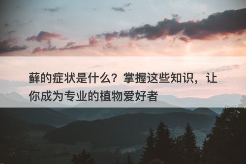 藓的症状是什么？掌握这些知识，让你成为专业的植物爱好者