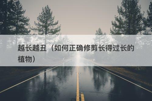 越长越丑（如何正确修剪长得过长的植物）
