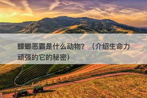 蟑螂恶霸是什么动物？（介绍生命力顽强的它的秘密）