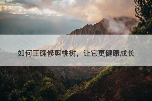 如何正确修剪桃树，让它更健康成长