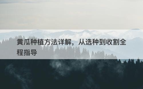 黄瓜种植方法详解，从选种到收割全程指导