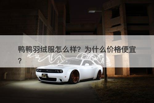 鸭鸭羽绒服怎么样？为什么价格便宜？