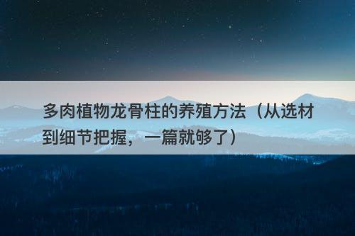 多肉植物龙骨柱的养殖方法（从选材到细节把握，一篇就够了）