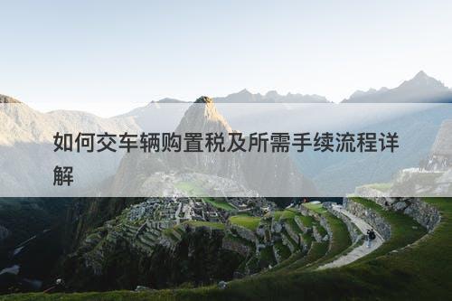 如何交车辆购置税及所需手续流程详解