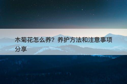 木菊花怎么养？养护方法和注意事项分享-图1