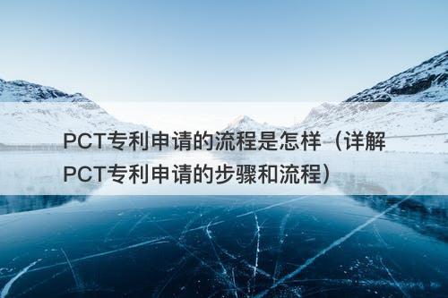 PCT专利申请的流程是怎样（详解PCT专利申请的步骤和流程）