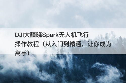 DJI大疆晓Spark无人机飞行操作教程（从入门到精通，让你成为高手）