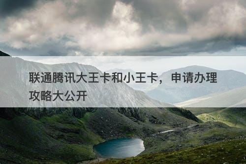 联通腾讯大王卡和小王卡，申请办理攻略大公开