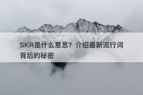SKR是什么意思？介绍最新流行词背后的秘密