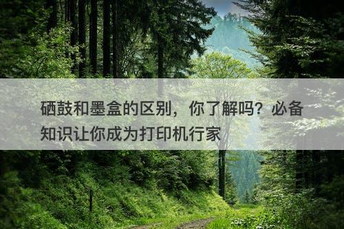 硒鼓和墨盒的区别，你了解吗？必备知识让你成为打印机行家