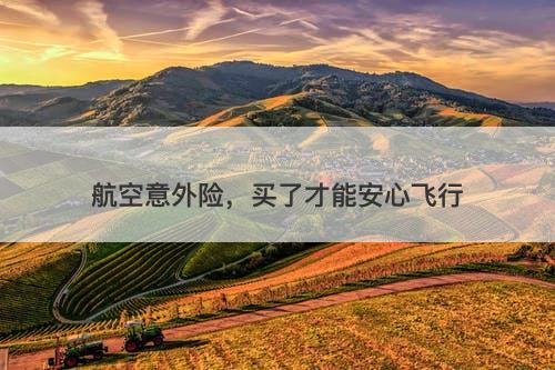 航空意外险，买了才能安心飞行