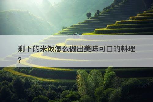剩下的米饭怎么做出美味可口的料理？