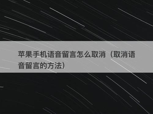 苹果手机语音留言怎么取消（取消语音留言的方法）