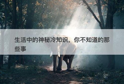 生活中的神秘冷知识，你不知道的那些事