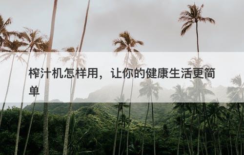 榨汁机怎样用，让你的健康生活更简单