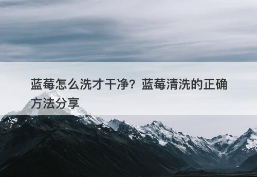 蓝莓怎么洗才干净？蓝莓清洗的正确方法分享