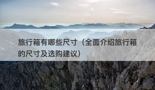 旅行箱有哪些尺寸（全面介绍旅行箱的尺寸及选购建议）