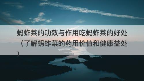 蚂蚱菜的功效与作用吃蚂蚱菜的好处（了解蚂蚱菜的药用价值和健康益处）