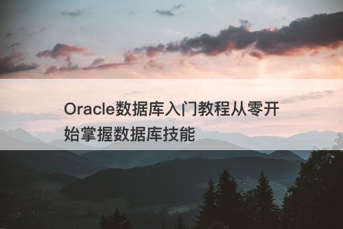 Oracle数据库入门教程从零开始掌握数据库技能