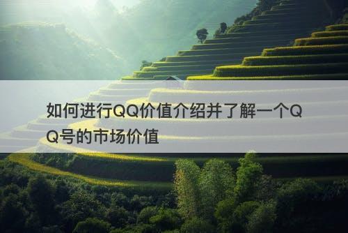 如何进行QQ价值介绍并了解一个QQ号的市场价值
