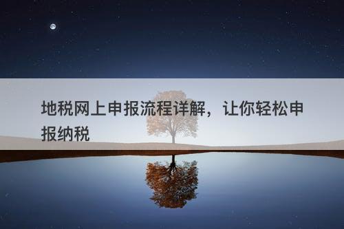 地税网上申报流程详解，让你轻松申报纳税