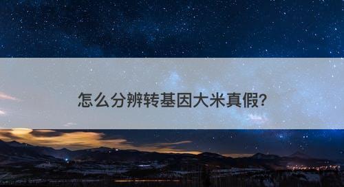 怎么分辨转基因大米真假？