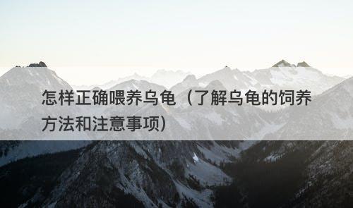 怎样正确喂养乌龟（了解乌龟的饲养方法和注意事项）